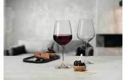 Montana Verre à Vin Rouge Vivid 520 Ml, 6 Pièce/s, Transparent - Verres à Vin -Ritzenhoff Shop unnamed file 325