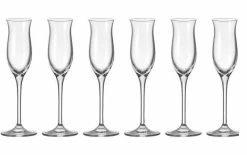 Leonardo Verre à Grappa Cheers 90 Ml, 6 Pièce/s, Transparent - Verres à Schnaps Et à Liqueur