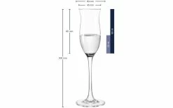Leonardo Verre à Grappa Cheers 90 Ml, 6 Pièce/s, Transparent - Verres à Schnaps Et à Liqueur 7 Leonardo Verre à Grappa Cheers 90 Ml, 6 Pièce/s, Transparent - Verres à Schnaps Et à Liqueur -Ritzenhoff Shop unnamed file 480