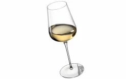Leonardo Verre à Vin Blanc Brunelli 580 Ml, 2 Pièce/s, Transparent - Verres à Vin 7 Leonardo Verre à Vin Blanc Brunelli 580 Ml, 2 Pièce/s, Transparent - Verres à Vin -Ritzenhoff Shop unnamed file 579