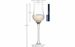 Leonardo Verre à Grappa Ciao 85 Ml, 6 Pièce/s, Transparent - Verres à Schnaps Et à Liqueur 7 Leonardo Verre à Grappa Ciao 85 Ml, 6 Pièce/s, Transparent - Verres à Schnaps Et à Liqueur -Ritzenhoff Shop unnamed file 899