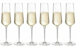 Leonardo Verre à Champagne Puccini 280 Ml, 6 Pièce/s, Transparent - Verres à Champagne