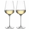Leonardo Verre à Vin Blanc Brunelli 470 Ml, 2 Pièce/s, Transparent - Verres à Vin -Ritzenhoff Shop unnamed file 92