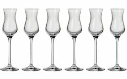 Leonardo Verre à Grappa Chateau 90 Ml, 6 Pièce/s, Transparent - Verres à Schnaps Et à Liqueur