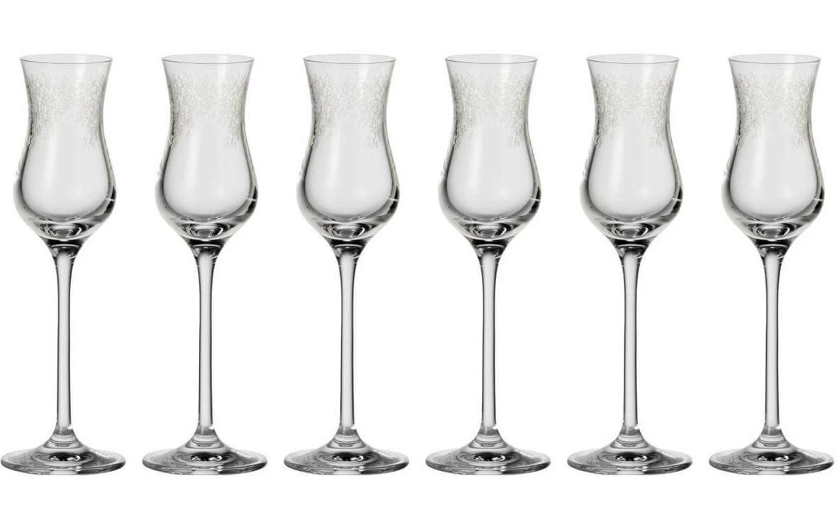 Leonardo Verre à Grappa Chateau 90 Ml, 6 Pièce/s, Transparent - Verres à Schnaps Et à Liqueur 3 Leonardo Verre à Grappa Chateau 90 Ml, 6 Pièce/s, Transparent - Verres à Schnaps Et à Liqueur